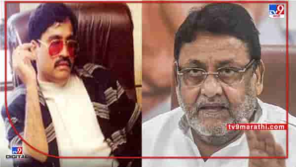 ‘नवाब मलिकांचे डी-गँगसोबत संबंध होते’ कोर्टाचं निरीक्षण! मलिकांचा पाय आणखी खोलात?