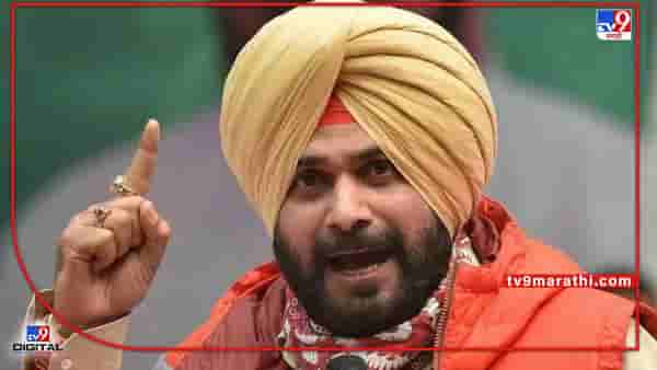 Navjot Singh Sidhu : मोठी बातमी! नवज्योत सिंग सिद्धू यांना एक वर्षाचा कारावास, सुप्रीम कोर्टाचा मोठा निर्णय