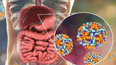 नवीन पद्धतीचे हे ‘क्वालिटेटिव्ह’ सोल्युशन हेपटायटिस बी विषाणूच्या निदानासाठी वापरल्या जाणाऱ्या प्रचलित आणि सुधारित चाचणी पद्धतीला पाठबळ देणार...