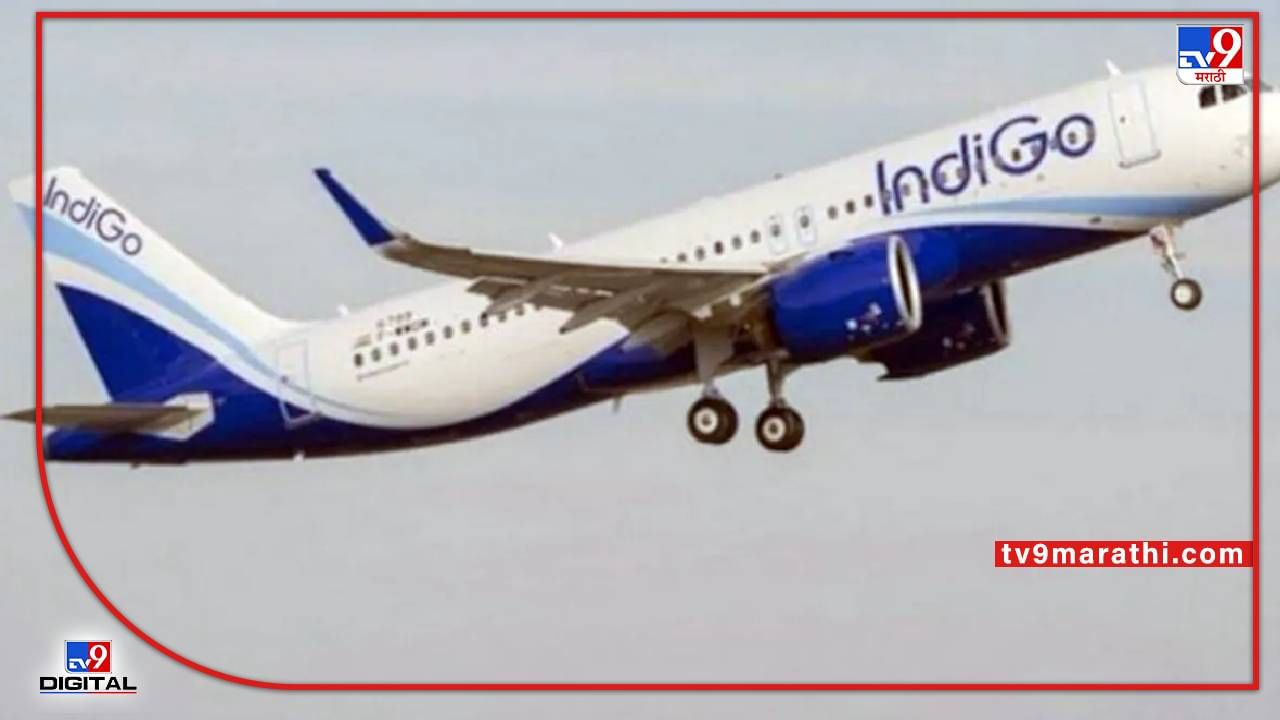 Indigo Airlines : दिव्यांगाला विमानात चढताना रोखणाऱ्या IndiGo एयरलायन्सला दणका, ठोठावला 5 लखांचा दंड