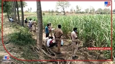 Sangli Murder : सांगलीत गळा दाबून महिलेचा खून, उसाच्या फडात आढळला मृतदेह