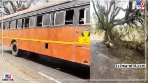 Jalgaon Accident | धावत्या बसवर झाड कोसळले, जळगावात भीषण अपघात, 12 प्रवाशी जखमी