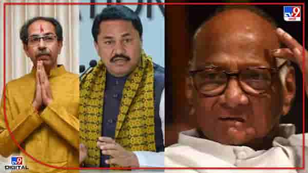 Sharad Pawar: स्थानिक स्वराज्य संस्थांच्या निवडणुकांवर शरद पवारांचं मोठं विधान! एकत्र लढणार? पवारांसमोर 2 ऑप्शन!