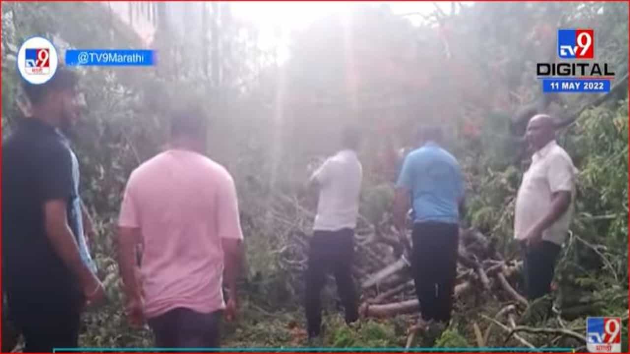 झाडं कोसळून रिक्षाचं नुकसान, चालक थोडक्यात बचावला