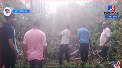 झाडं कोसळून रिक्षाचं नुकसान, चालक थोडक्यात बचावला