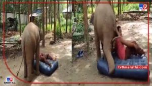 Video : हाथी मेरे साथी!, हत्तीची तरूणासोबत मजा-मस्ती, व्हीडिओ सोशल मीडियावर व्हायरल...