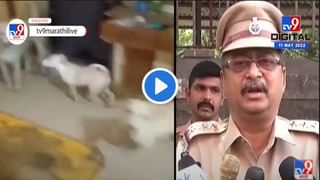 CCTV Video : वाढदिवसाचा धिंगाणा बंद करायला लावल्याचा राग, चौघांकडून मध्यरात्री घरावर दगडफेक! घटना CCTV मध्ये कैद