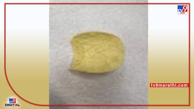 एका वेफरची किंमत आहे 1 लाख 90 हजार रूपये!, चिप्सच्या मालकाने किमतीच्या कारणांचा वाचला पाढा!