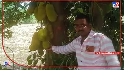 Success Story : खडकाळ माळरानावर बहरतेय फणसाची बाग, अथक परिश्रमाला योग्य नियोजनाची जोड