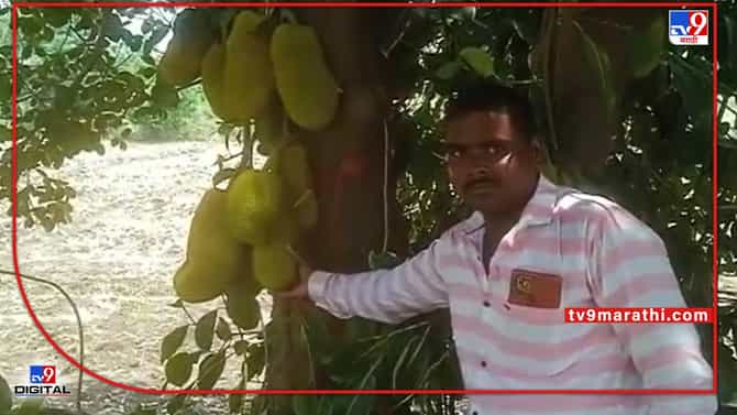 Success Story : खडकाळ माळरानावर बहरतेय फणसाची बाग, अथक परिश्रमाला योग्य नियोजनाची जोड