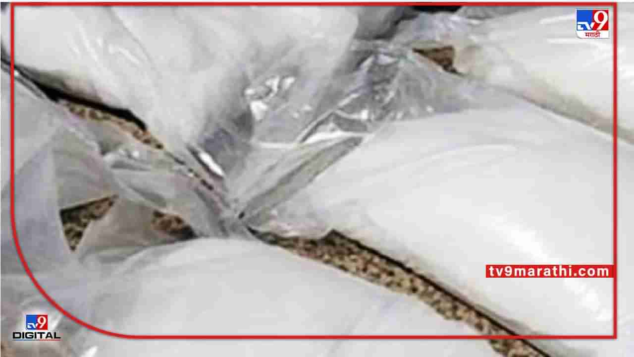 IGI विमानतळावर हेरॉईनचा आतापर्यंतचा सर्वात मोठा साठा जप्त, ट्रॉली बॅगेत सापडले 434 कोटींचे ड्रग्ज