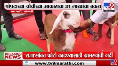 Video : पोपटाची चोच अन् राजाचं तोंड सारखंच!, किंमत तर लाखांच्या घरात, सांगलीच्या राजाचा मंत्री एकनाथ शिंदेकडून सत्कार