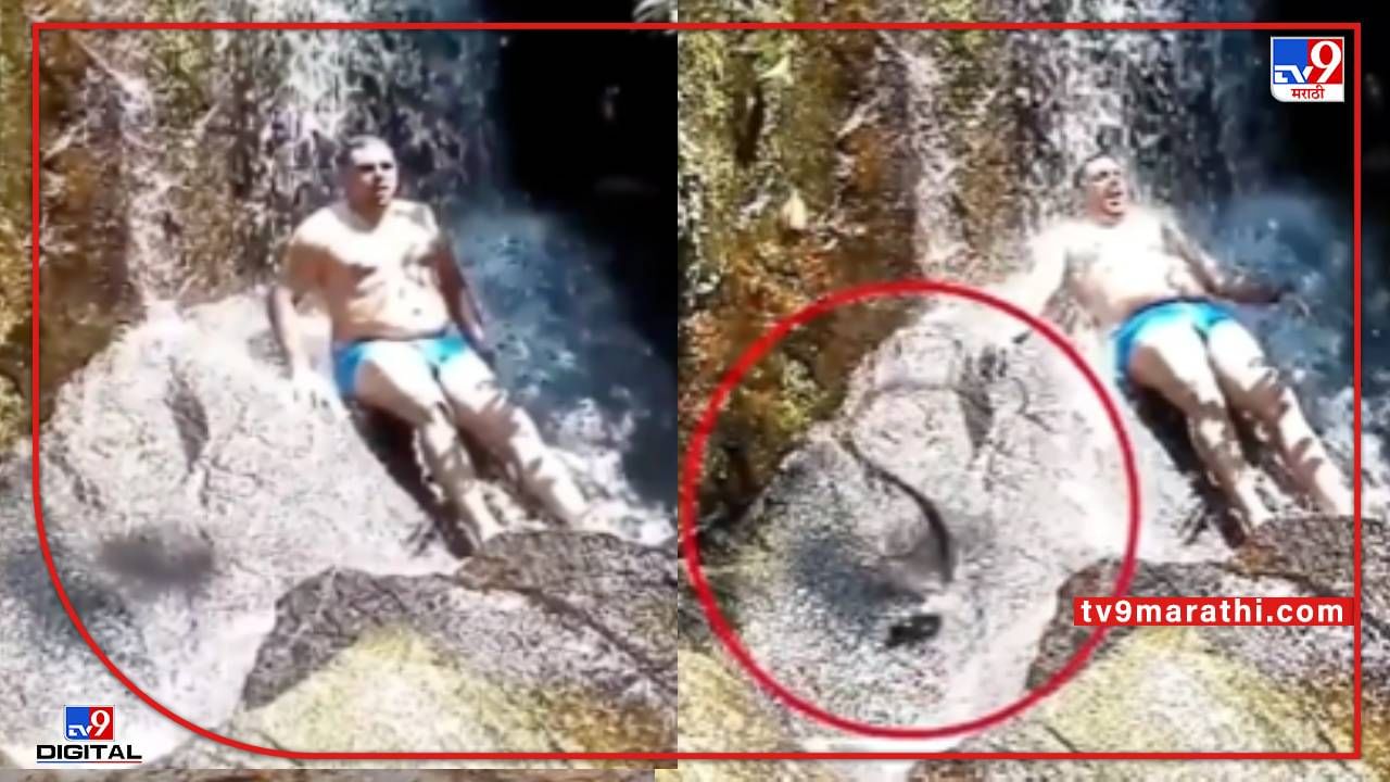 Video : धबधब्याखाली बसून अंघोळ करत होत इतक्यात वरून साप पडला, पुढे काय घडलं पाहा...