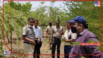 Nagpur Plantation | नागपुरातील शिवणगाव भागात मनपाचे अमृत वन, 5 हजारांवर विविध प्रजातींची झाडे