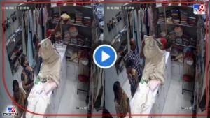 Kalyan CCTV : कपड्यांच्या आडून कपड्यांचीच चोरी! कपडेचोर महिला CCTV कॅमेऱ्यात कैद, धाडस तर बघा!