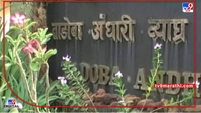 Chandrapur Tourist | अनधिकृत संकेतस्थळांमुळे पर्यटकांची फसवणूक; चंद्रपूरच्या ताडोबा-अंधारी व्याघ्र प्रकल्पातील प्रकार