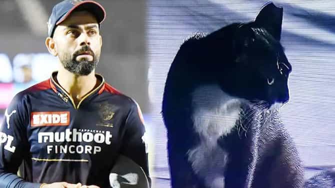 Virat Kohli IPL 2022: मॅच सुरु असताना साइट स्क्रीनवर आलेल्या काळ्या मांजरीमुळे विराट कोहली ट्रोल