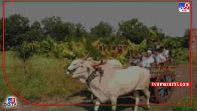 Agri-Tourism | आंतरराष्ट्रीय कृषी पर्यटन दिनानिमित्त सोमवारी शेतकऱ्यांचा गौरव! राज्य पर्यटन संचालनालय व एटीडीसीचा खास उपक्रम