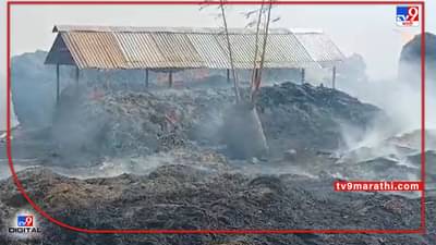 Beed : घरी लेकीच्या लग्नाची घाई अन् गोठ्यात अग्नितांडव, बीडमधील शेतकऱ्यांच्या समस्या कायम