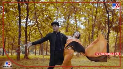 Video : सेम टू सेम शाहरूख खान आणि राणी मुखर्जी! तुम्हे देखो ना गाण्याचं फॅन व्हर्जन!, नेटकरी म्हणतात, तुम्ही बॉलीवूडमध्ये या