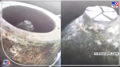 Gyanvapi:शंकराचार्यांच्या आदेशाचं होणार पालन, ज्ञानवापीत शिवलिंगाची पूजा करणार संत, ४ जूनला वाराणसीत पोहचणार