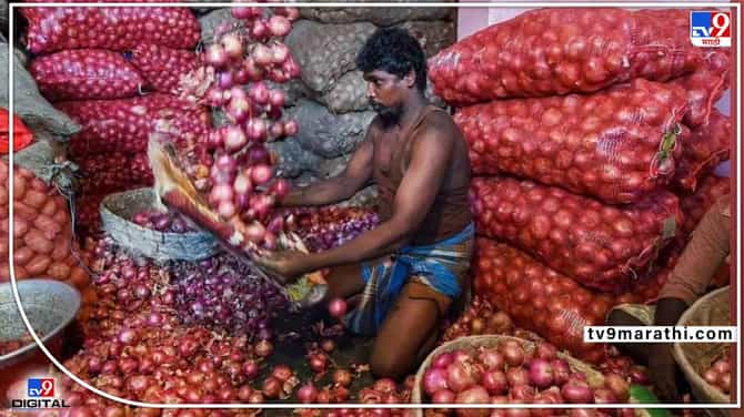 महाराष्ट्रपेक्षा बिहार, केरळमध्ये कांद्याचा तगडा भाव! कांदा उत्पादक शेतकऱ्यांनी हे वाचायलाच हवं...