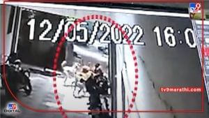 Nashik CCTV | नाशकात मोकाट कुत्र्यांचा उच्छाद, लहान मुलावर हल्ला, घटना सीसीटीव्हीत कैद