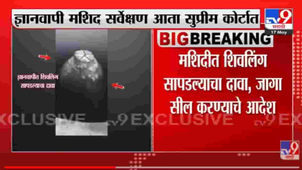 VIDEO : Supreme Court Case | ज्ञानवापी मशिद सर्वेक्षण आता सुप्रीम कोर्टात VIDEO : Supreme Court Case | ज्ञानवापी मशिद सर्वेक्षण आता सुप्रीम कोर्टात