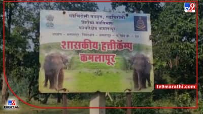 Gadchiroli Elephant | हत्ती स्थलांतरणाच्या मुद्यावरून विरोध होत असताना स्थानिक लोकप्रतिनिधी गप्प; गडचिरोली रिपोर्टर फोरममध्ये रंगली चर्चा