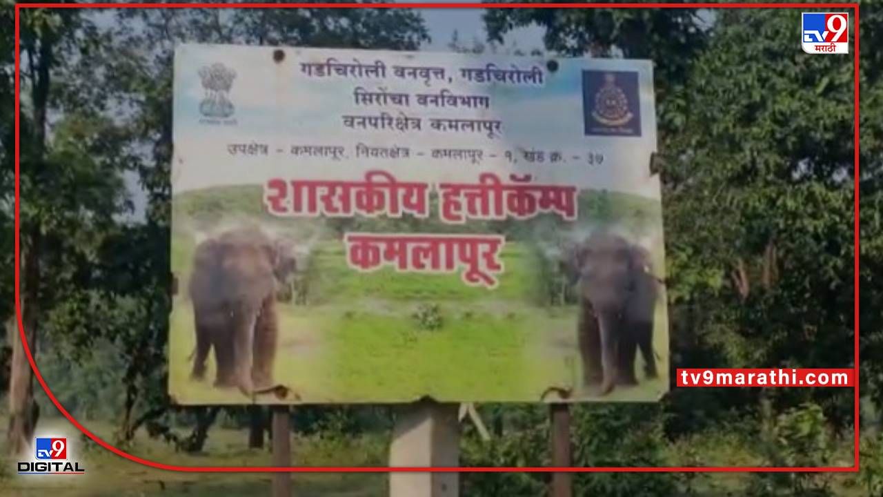 Gadchiroli Elephant | हत्ती स्थलांतरणाच्या मुद्यावरून विरोध होत असताना स्थानिक लोकप्रतिनिधी गप्प; गडचिरोली रिपोर्टर फोरममध्ये रंगली चर्चा