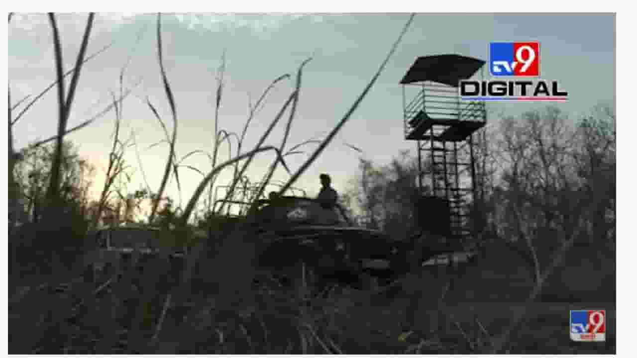 Chandrapur Forrest Machan | पर्यटकांनी अनुभवली ताडोबामधली अविस्मरणीय रात्र