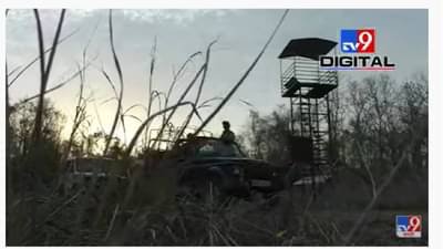 Chandrapur Forrest Machan | पर्यटकांनी अनुभवली ताडोबामधली अविस्मरणीय रात्र