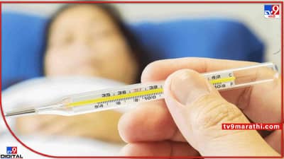 Dengue : पॅरासिटामॉल घेऊन घरी बसू नका, डॉक्टरांचा सल्ला घ्या !  कोरोनानंतर डेंग्यूचे सावट; आरोग्य अधिकाऱ्यांचा हाय अलर्ट..