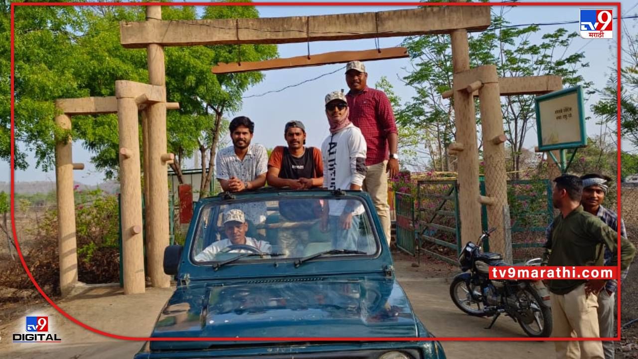 Yavatmal Tiger | सैराटच्या सल्या अन् लंगड्याला झाले आर्चीचे दर्शन, यवतमाळातील टिपेश्वर अभयारण्यामध्ये अखेर गाठले Yavatmal Tiger | सैराटच्या सल्या अन् लंगड्याला झाले आर्चीचे दर्शन, यवतमाळातील टिपेश्वर अभयारण्यामध्ये अखेर गाठले