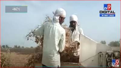 नांदेड जिल्ह्यात अवकाळी पावसाचा इशारा, सोयाबीन घरी नेण्याची लगबग