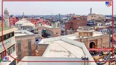 Gyanvapi Masjid Case: ज्ञानवापीतील भिंतीवर शेषनाग, कमळ आणि देवतांच्या कलाकृती?; त्या अहवालात नेमकं काय?