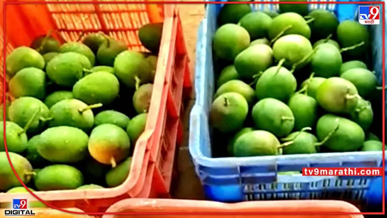 Indian Mangoes : भारतीय आंब्यांची चव चाखणार अमेरिकेचे अध्यक्ष जो बायडेन; हापूससह कोणते आंबे? इथे वाचा...