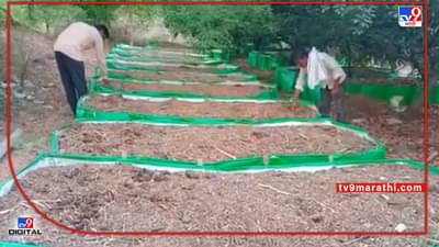 Success Story : उत्पादनवाढीसाठी तयार केलेले गांडूळ खत आता उत्पन्नवाढीचे साधन, नांदेडच्या शेतकऱ्याच्या अनोखा उपक्रम