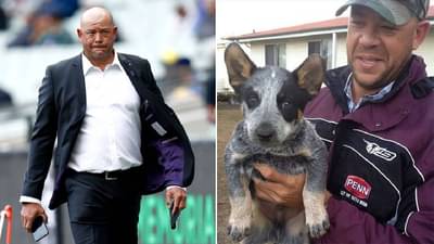 शेवटपर्यंत AndrewSymonds ची साथ न सोडणारे ते कुत्रे कुठल्या जातीचे होते? जाणून घ्या श्वानाच्या त्या जोडीबद्दल