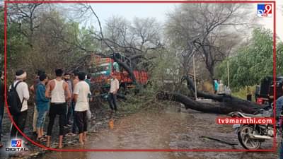 Buldana rain | बुलडाण्यात बरसला पाऊस, महामार्गावरील वाहतूक विस्कळीत, विदर्भातील तापमानात घट
