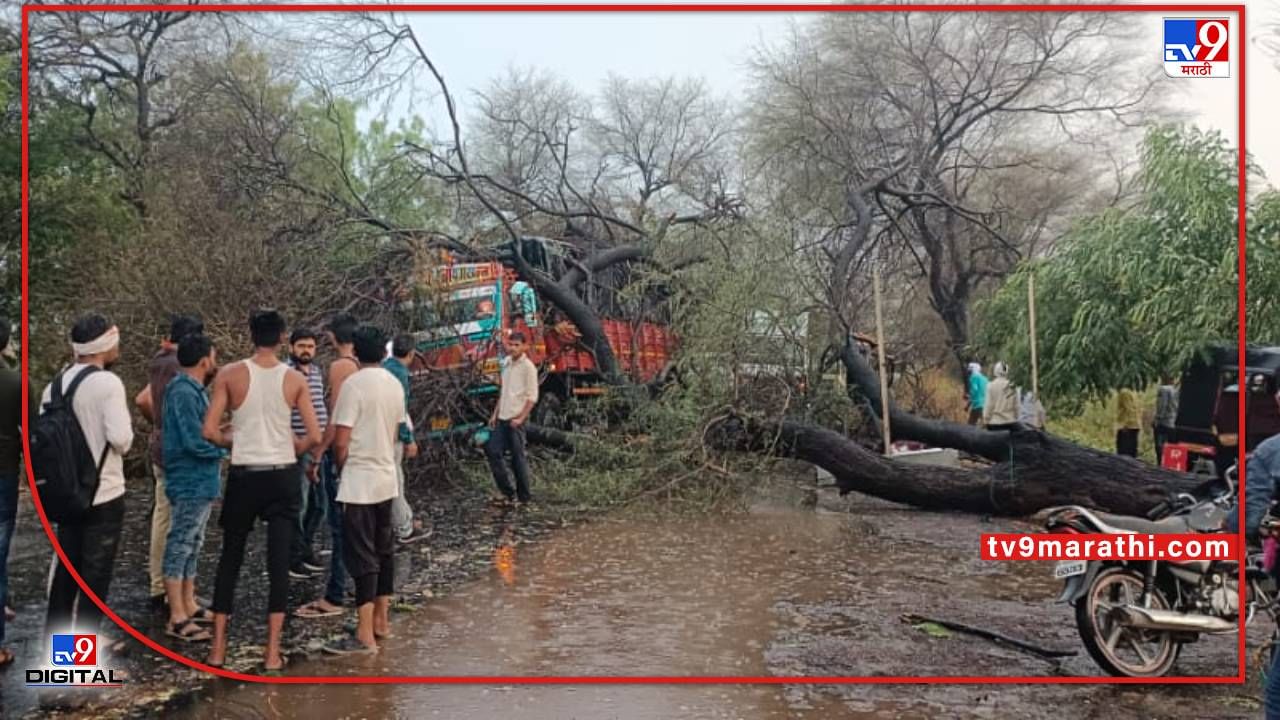 Buldana rain | बुलडाण्यात बरसला पाऊस, महामार्गावरील वाहतूक विस्कळीत, विदर्भातील तापमानात घट