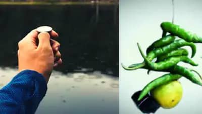 नदीत नाणं टाकणं,  दारावर लिंबू मिर्ची बांधणं, काय आहेत यामागे  वैज्ञानिक तथ्य?