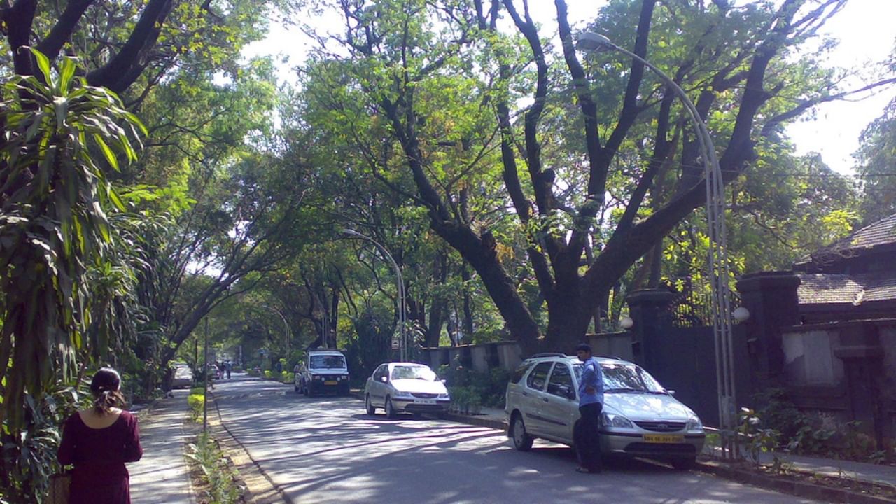 Pune Koregaon Park : उच्चभ्रू वस्ती मात्र समस्या अनेक! काय म्हणणं आहे पुण्यातल्या कोरेगाव पार्कच्या रहिवाशांचं?