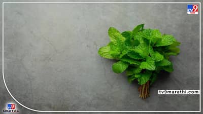 ‘पुदिना’ केवळ त्वचेच्या आरोग्यासाठीच नाही; तर घरातील ‘या’ कामातील स्वच्छतेसाठीही ठरतो बहुउपयोगी!