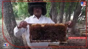 Washim : शेतीला जोडी मधाची गोडी,  मध उत्पादनातून शेतकऱ्यांने साधली आर्थिक उन्नती 