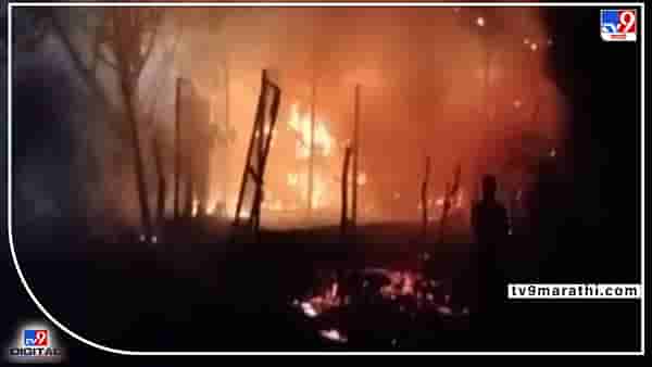 Video : Akola Fire | अकोल्यात गोरेगाव येथे गुरांच्या गोठ्याला आग, जनावरे भाजली; 35 कोंबड्यांचा मृत्यू
