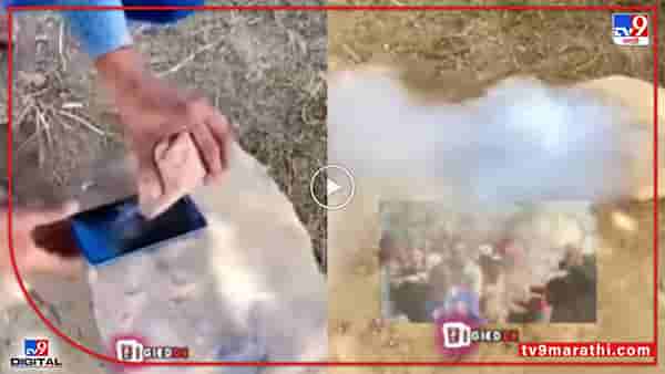 Video : हजारो रूपयांच्या मोबाईलचा दगडाने ठेचून चुराडा! पुढच्या क्षणी धुराचे लोट, पाहा नेमकं काय घडलं...