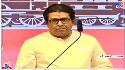 Raj Thackeray : एक खासदार उठतो अन् मुख्यमंत्र्यांना आव्हान देतो, राज ठाकरेंना भाजपावरच संशय?