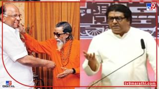 Raj Thackeray : माझी अयोध्या वारी अनेकांना खूपली, राज ठाकरेंचा निशाणा नेमका कुणावर?  ते अनेक जण कोण?