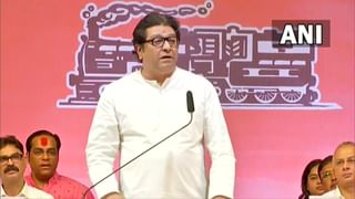 Raj Thackeray : एक खासदार उठतो अन् मुख्यमंत्र्यांना आव्हान देतो, राज ठाकरेंना भाजपावरच संशय?